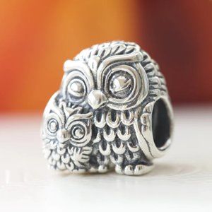 Pandora Charming Owl Charm 791966